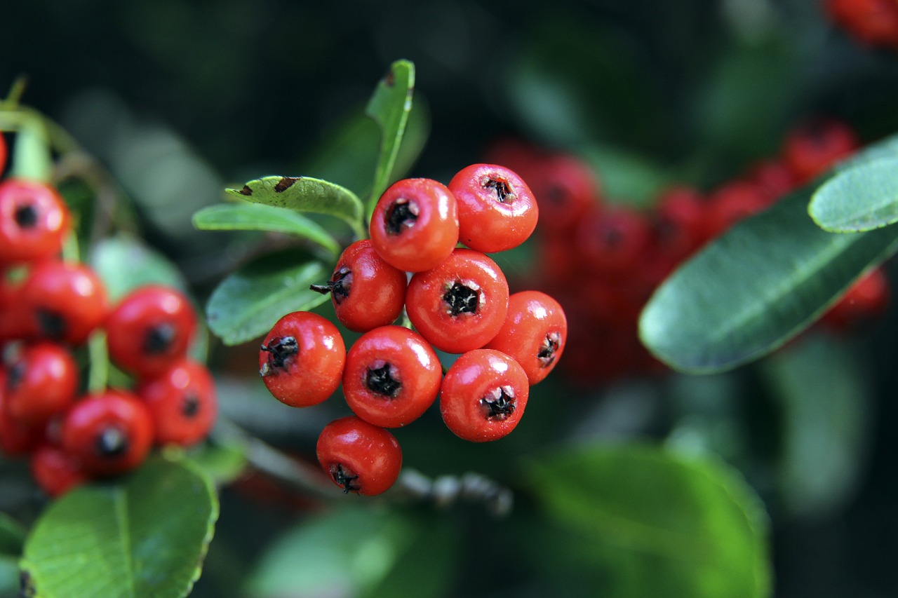 成為該體系 成為該體系