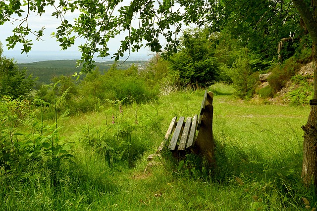 與比賽看點 與比賽看點
